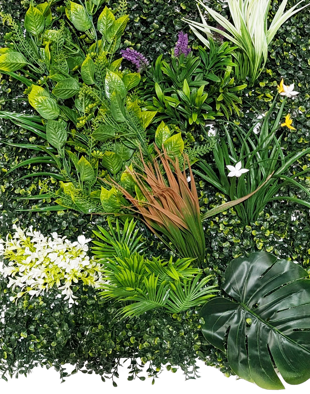 Pflanzenwand Majestic Garden 50x100 cm Pflanzenwand Majestic Garden 50x100 cm