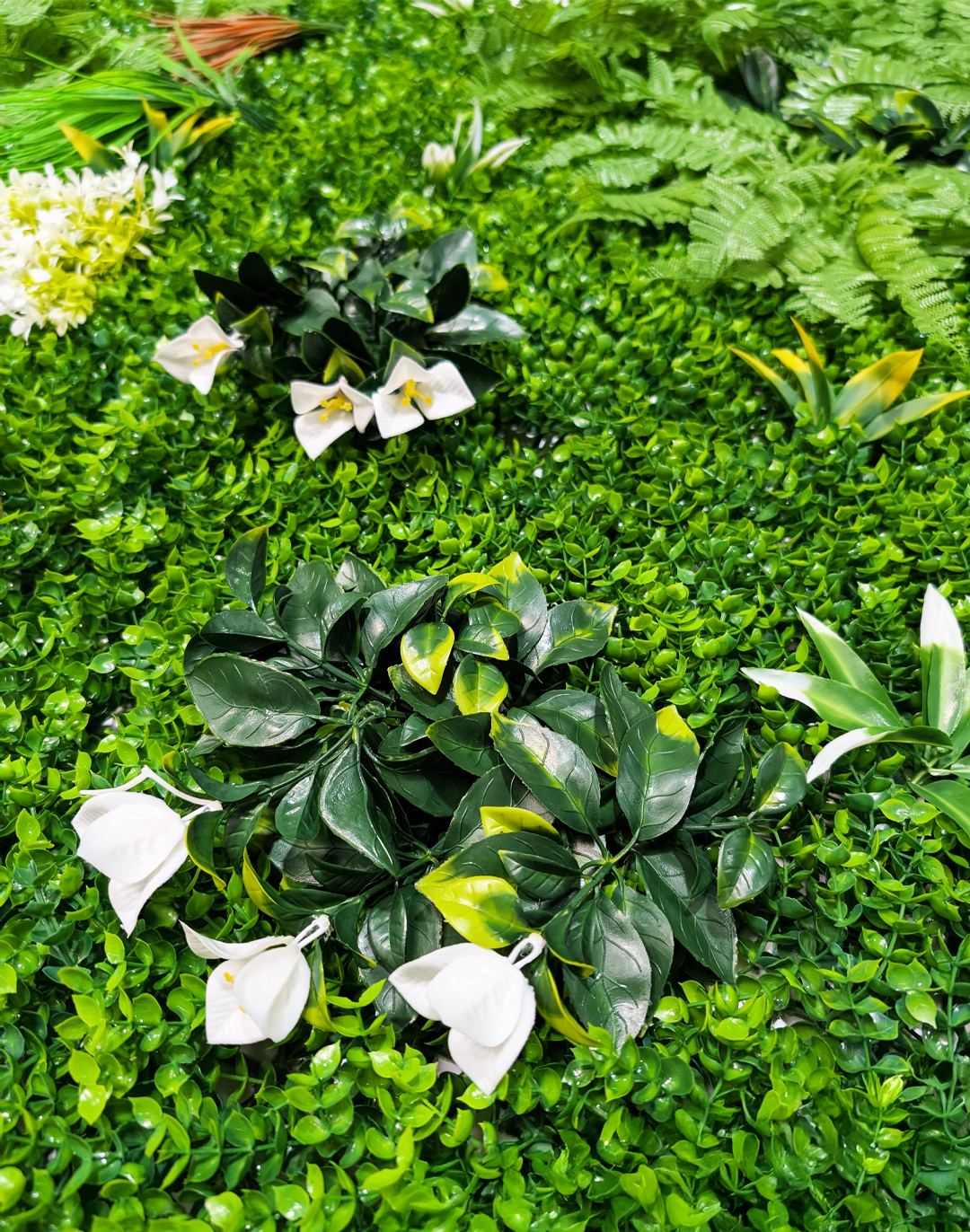 Pflanzenwand Ferns & Flowers 100x100 cm Pflanzenwand Ferns & Flowers 100x100 cm