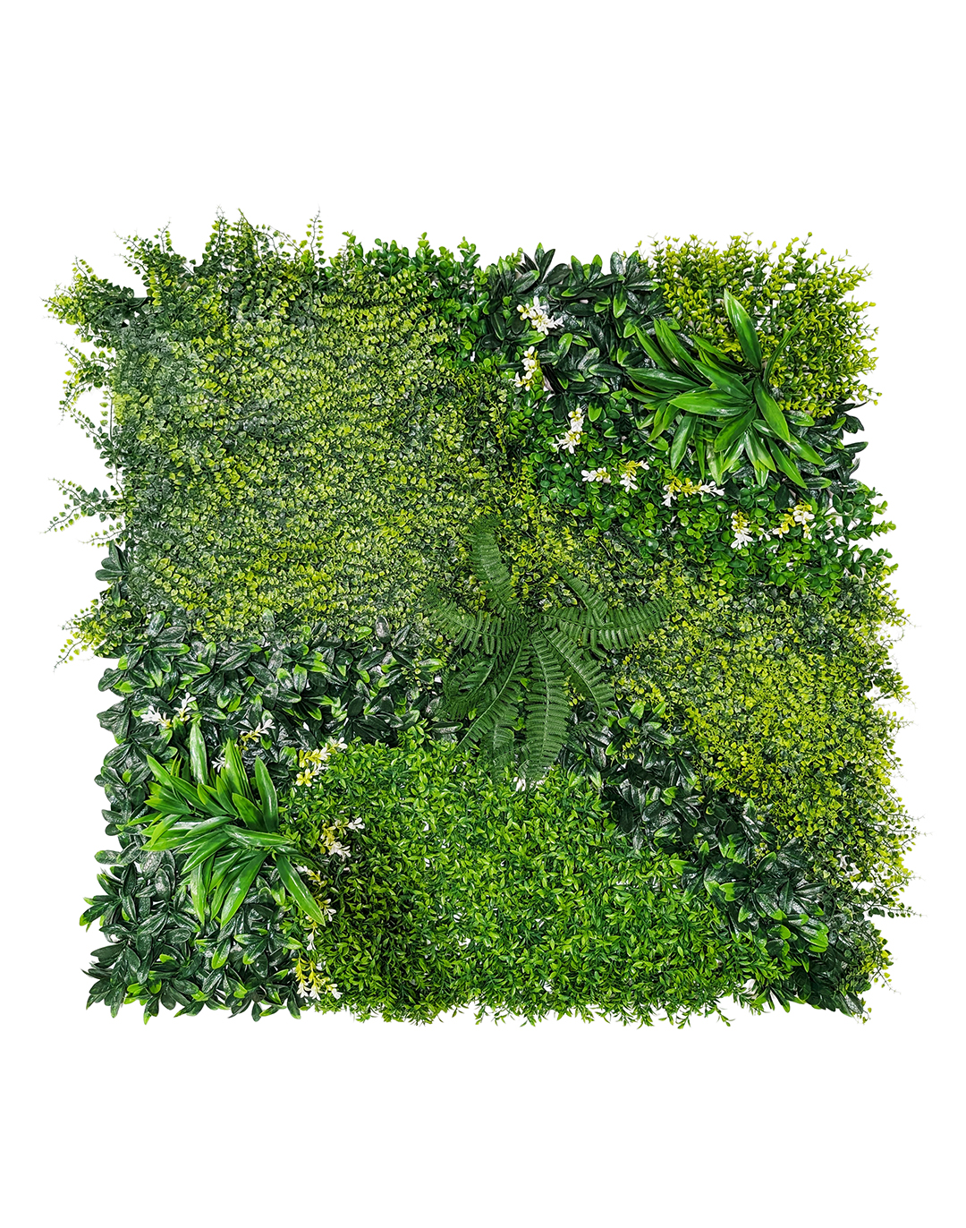 Pflanzenwand Emerald Breeze 100x100 cm
