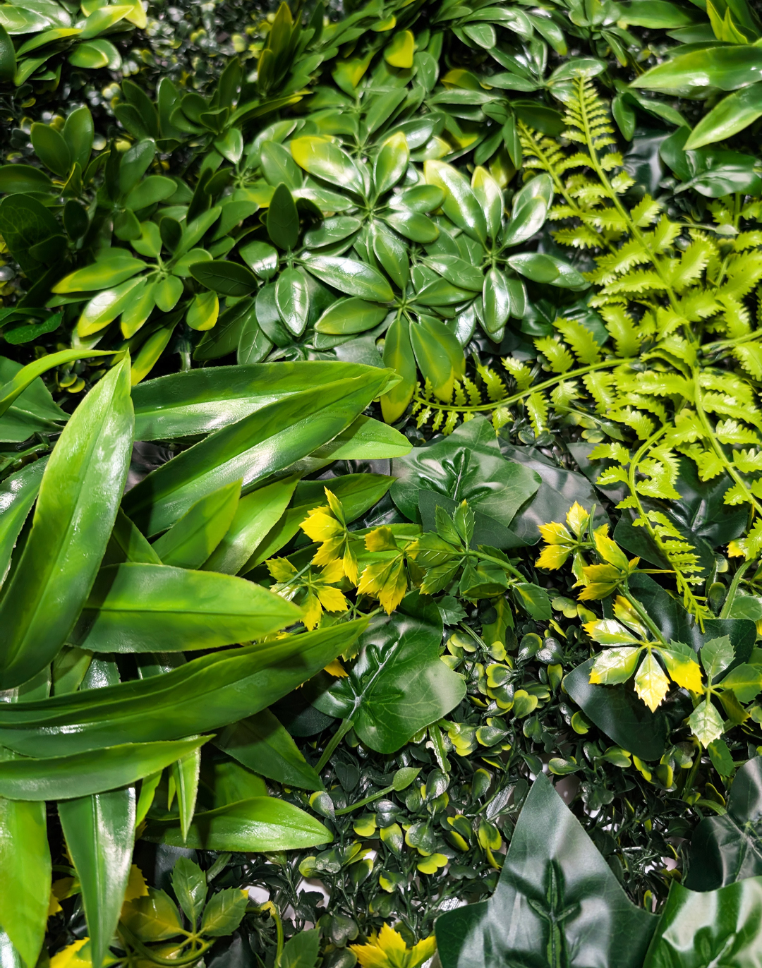 Pflanzenwand Green Cascade 100x100 cm Pflanzenwand Green Cascade 100x100 cm