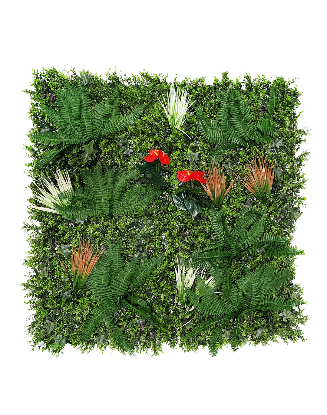 Pflanzenwand Tropical Whisper 100x100 cm Pflanzenwand Tropical Whisper 100x100 cm