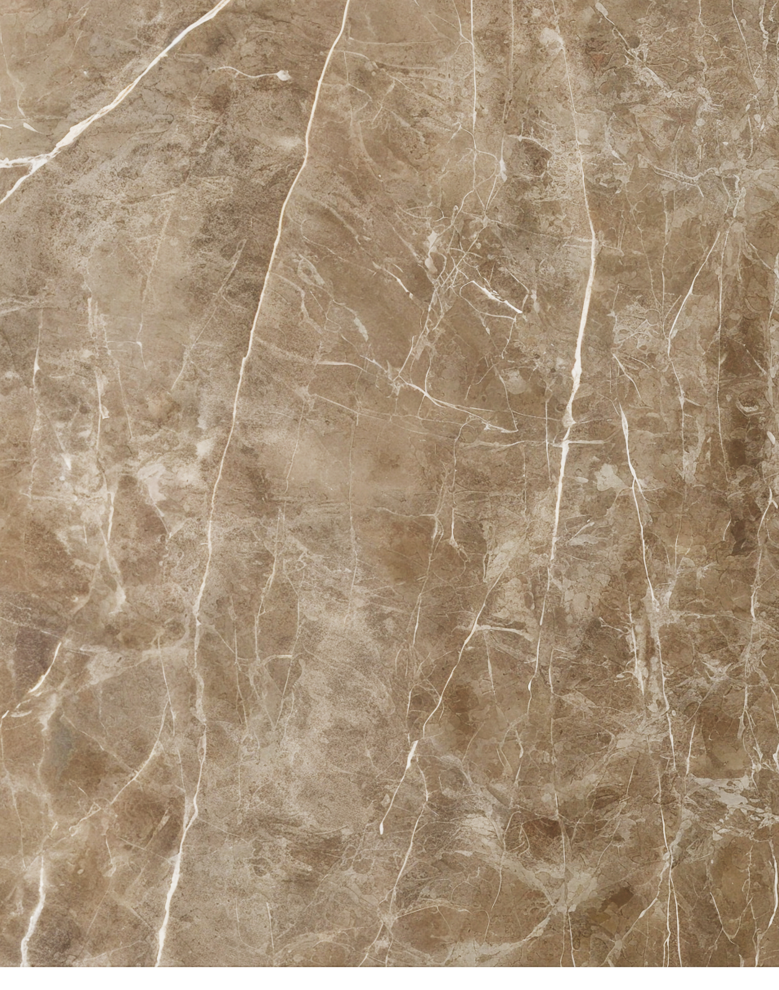 PVC-Paneel Marmor Marrakesch Mokka 288x122 cm Angebot