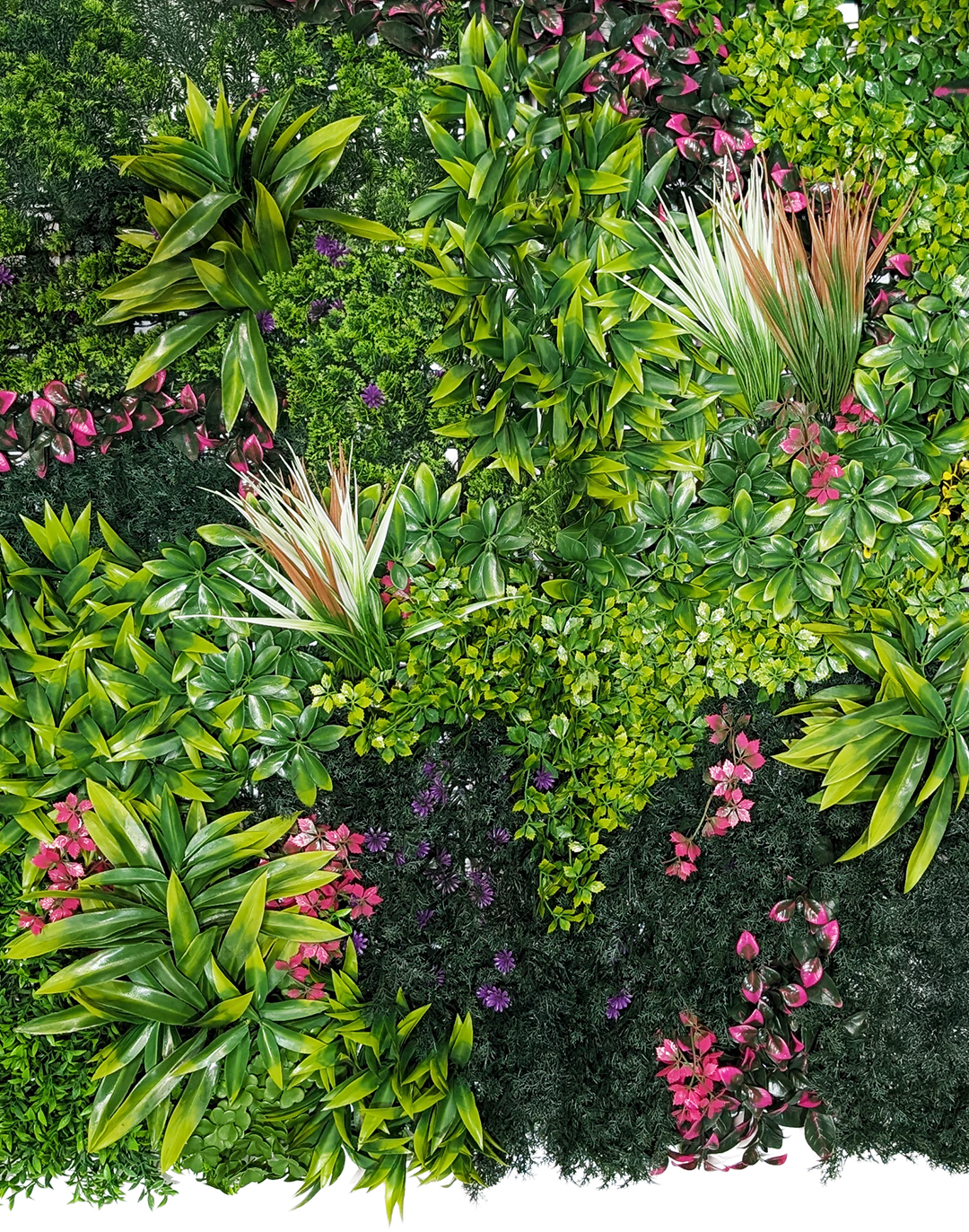 Pflanzenwand Lavenda Jungle 100x100 cm