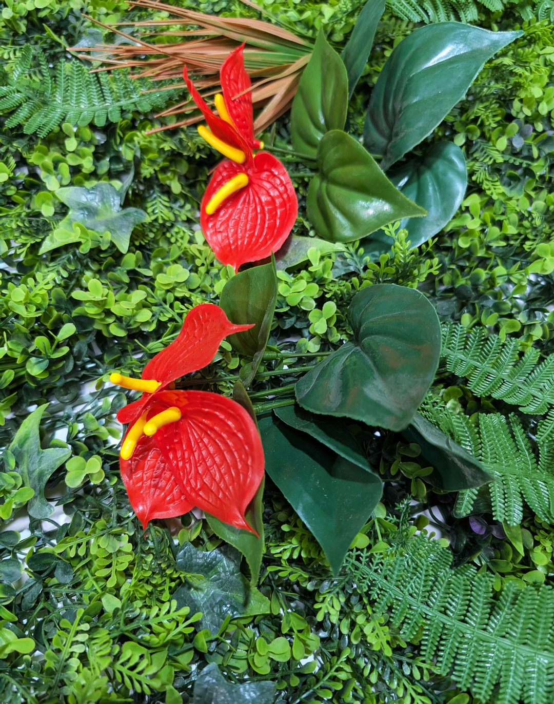 Pflanzenwand Tropical Whisper 100x100 cm Pflanzenwand Tropical Whisper 100x100 cm