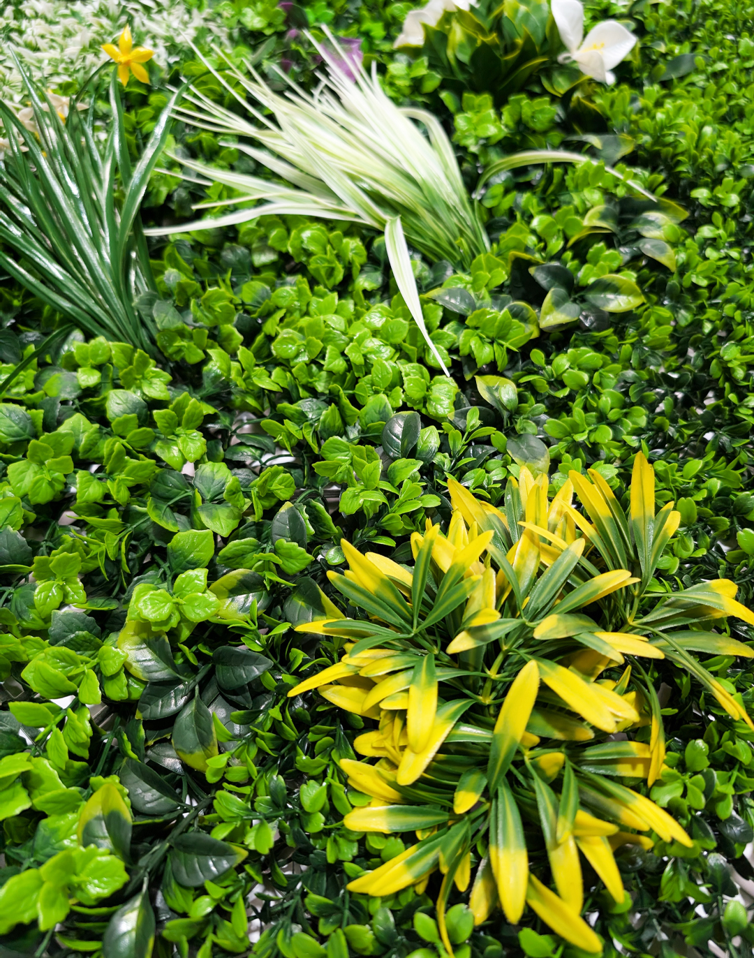 Pflanzenwand Botanic Fusion 100x100 cm Pflanzenwand Botanic Fusion 100x100 cm