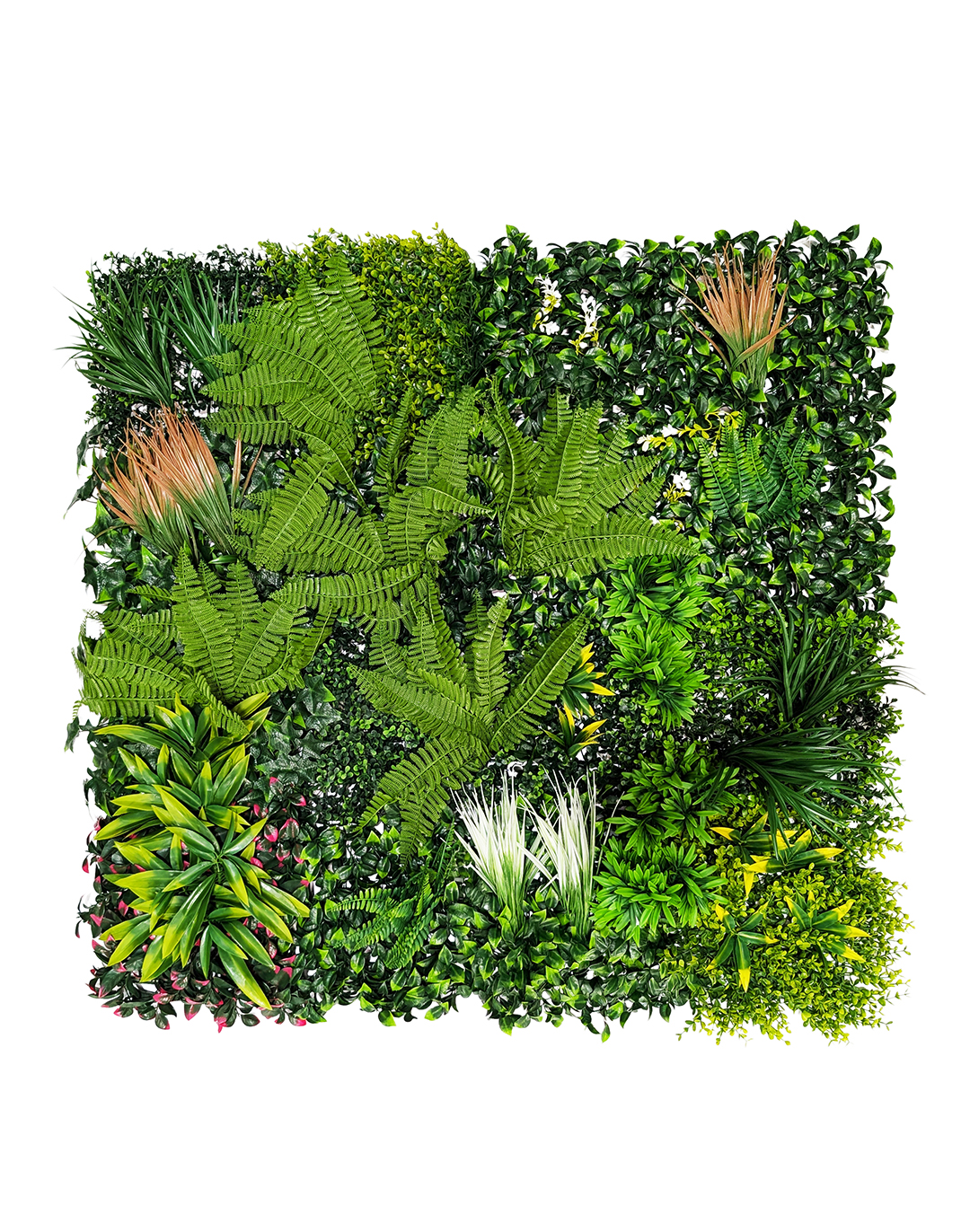 Pflanzenwand Tropical Shadows 100x100 cm Pflanzenwand Tropical Shadows 100x100 cm