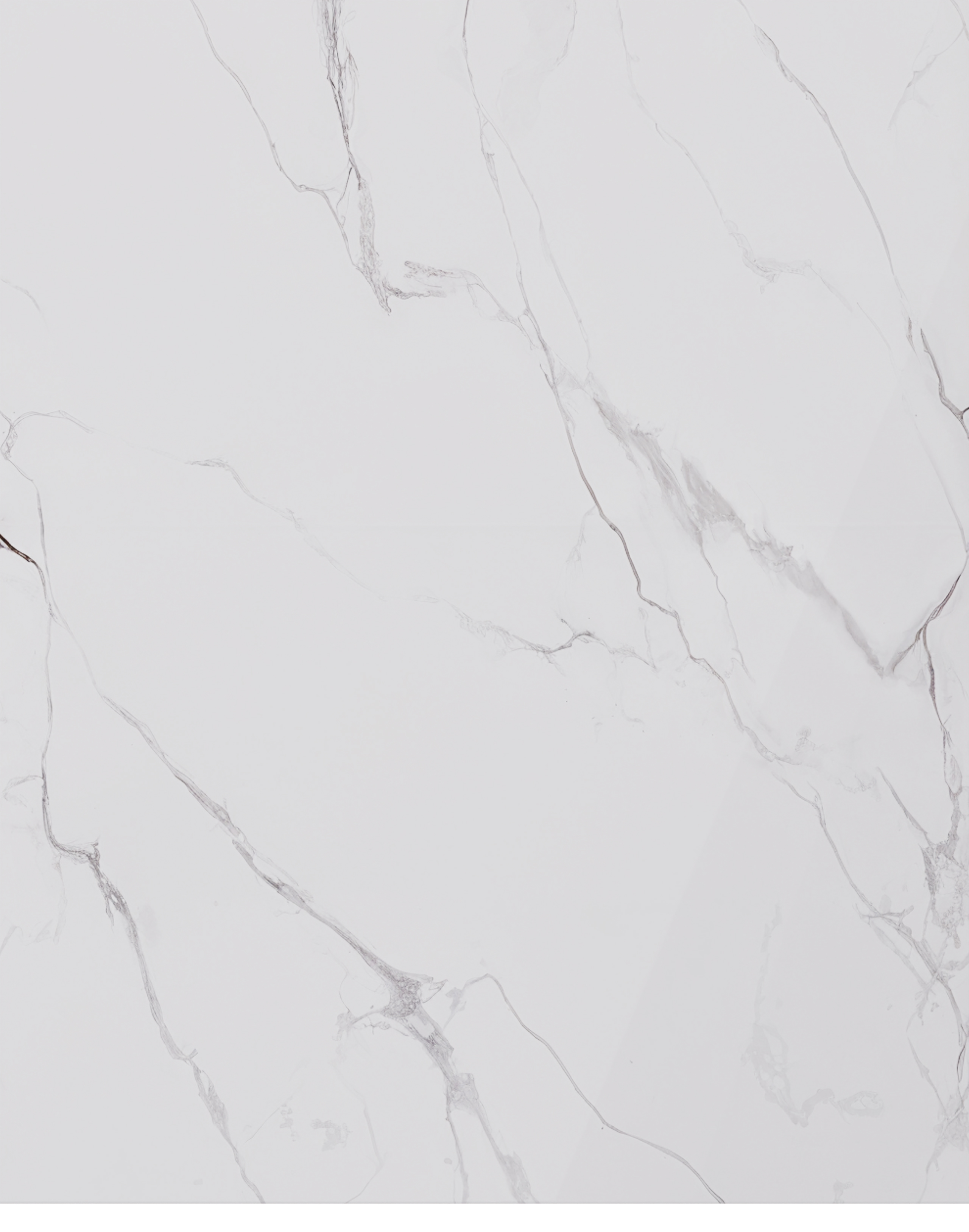 PVC-Paneel Marmor Kopenhagen Nebel 288x122 cm