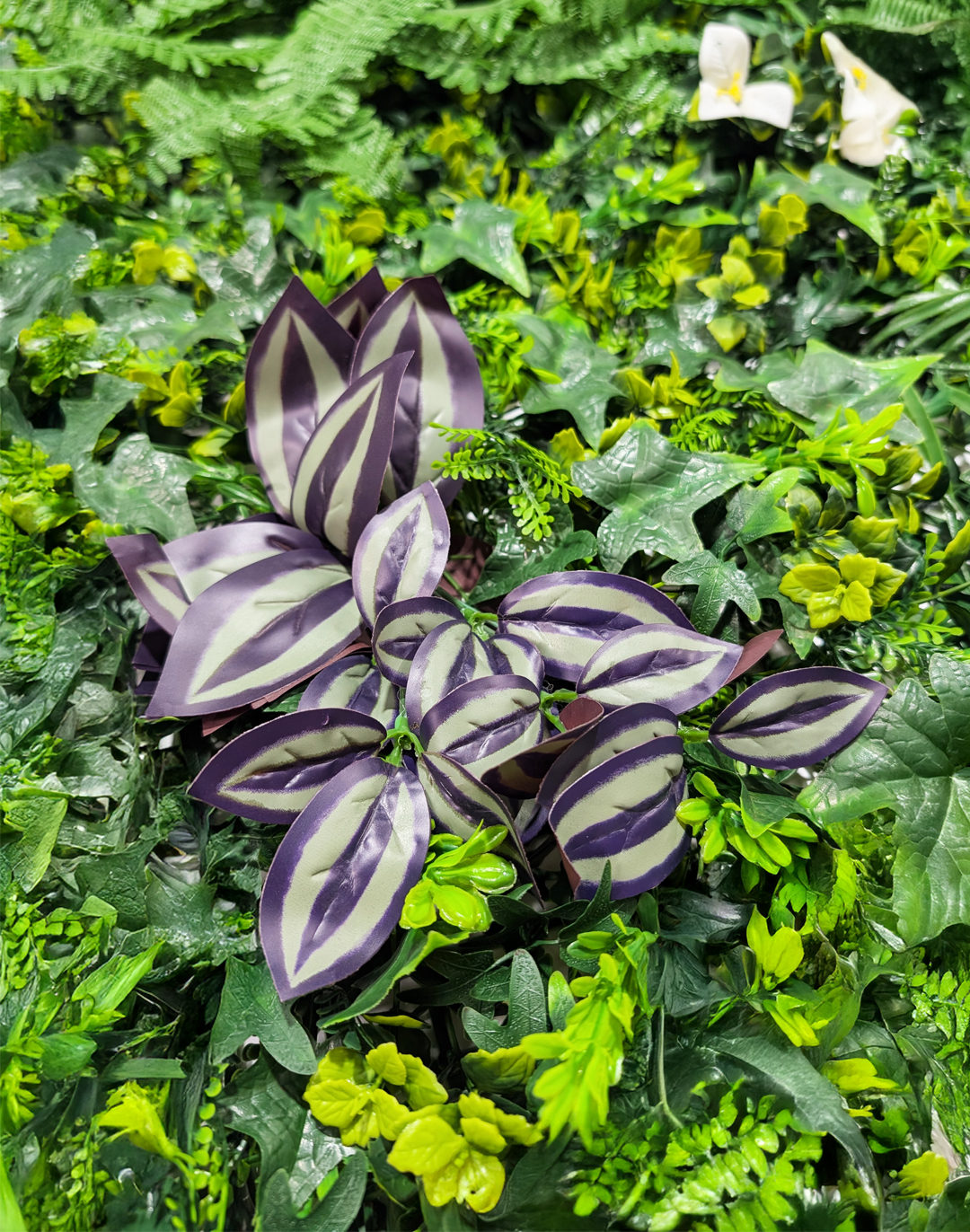 Pflanzenwand Urban Bloom 50x100 cm