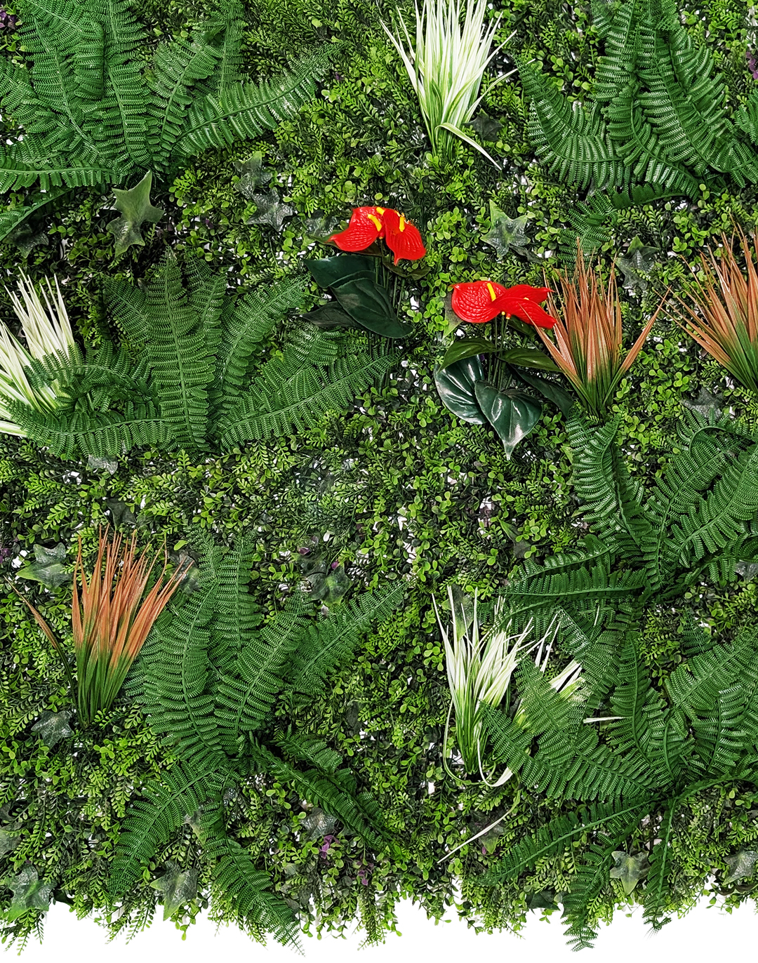 Pflanzenwand Tropical Whisper 100x100 cm Pflanzenwand Tropical Whisper 100x100 cm