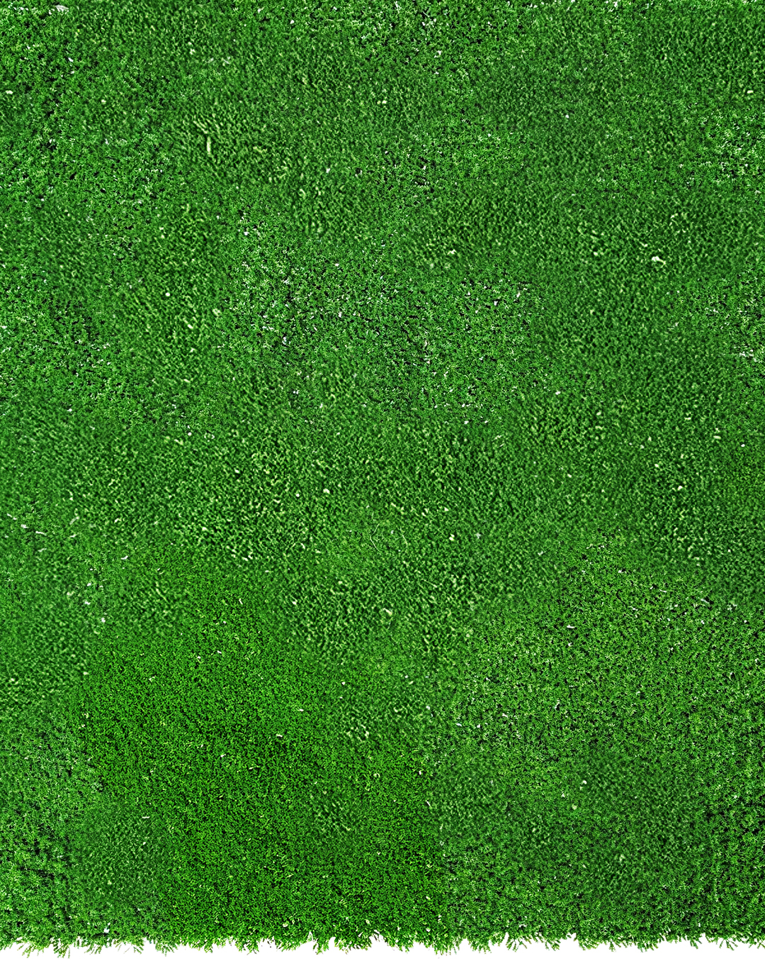 Pflanzenwand Absolute Moss 100x100 cm Pflanzenwand Absolute Moss 100x100 cm