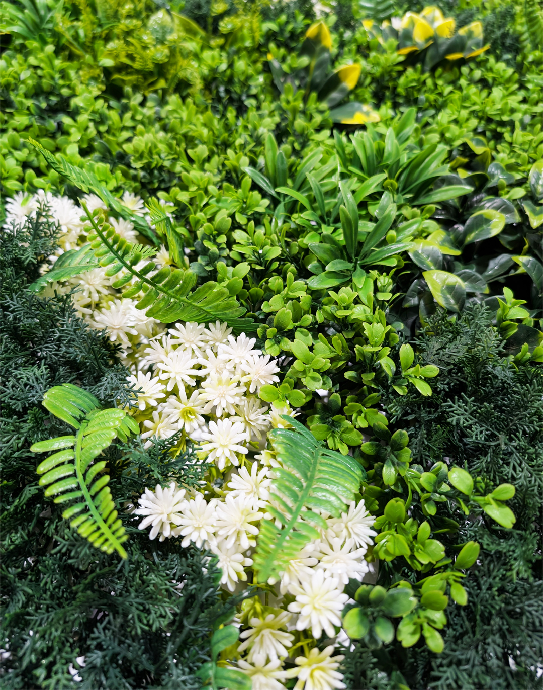 Pflanzenwand Leaf & Loom 100x100 cm Pflanzenwand Leaf & Loom 100x100 cm