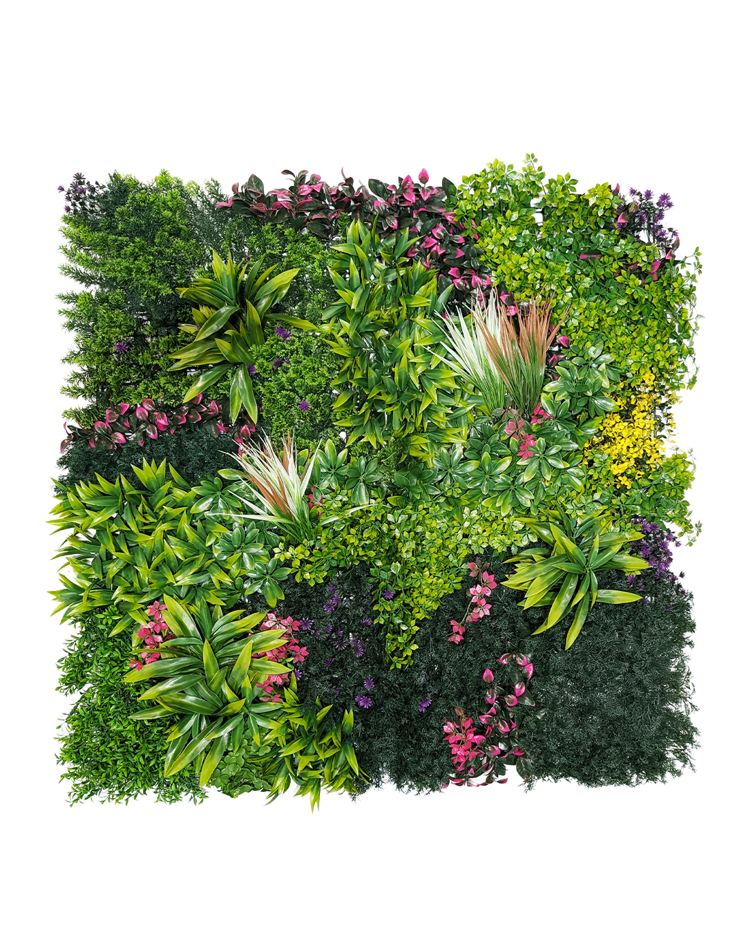 Pflanzenwand Lavenda Jungle 100x100 cm