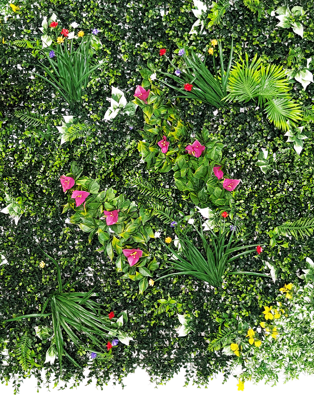 Pflanzenwand Jungle Blossom 100x100 cm