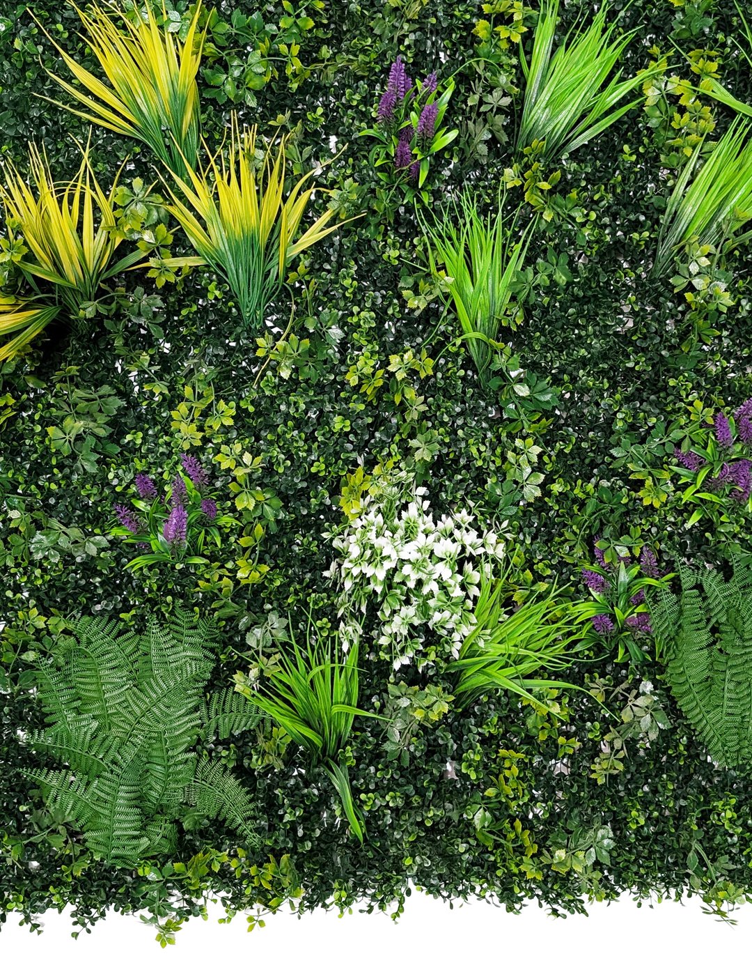 Pflanzenwand Lush Vibrance 100x100 cm Pflanzenwand Lush Vibrance 100x100 cm