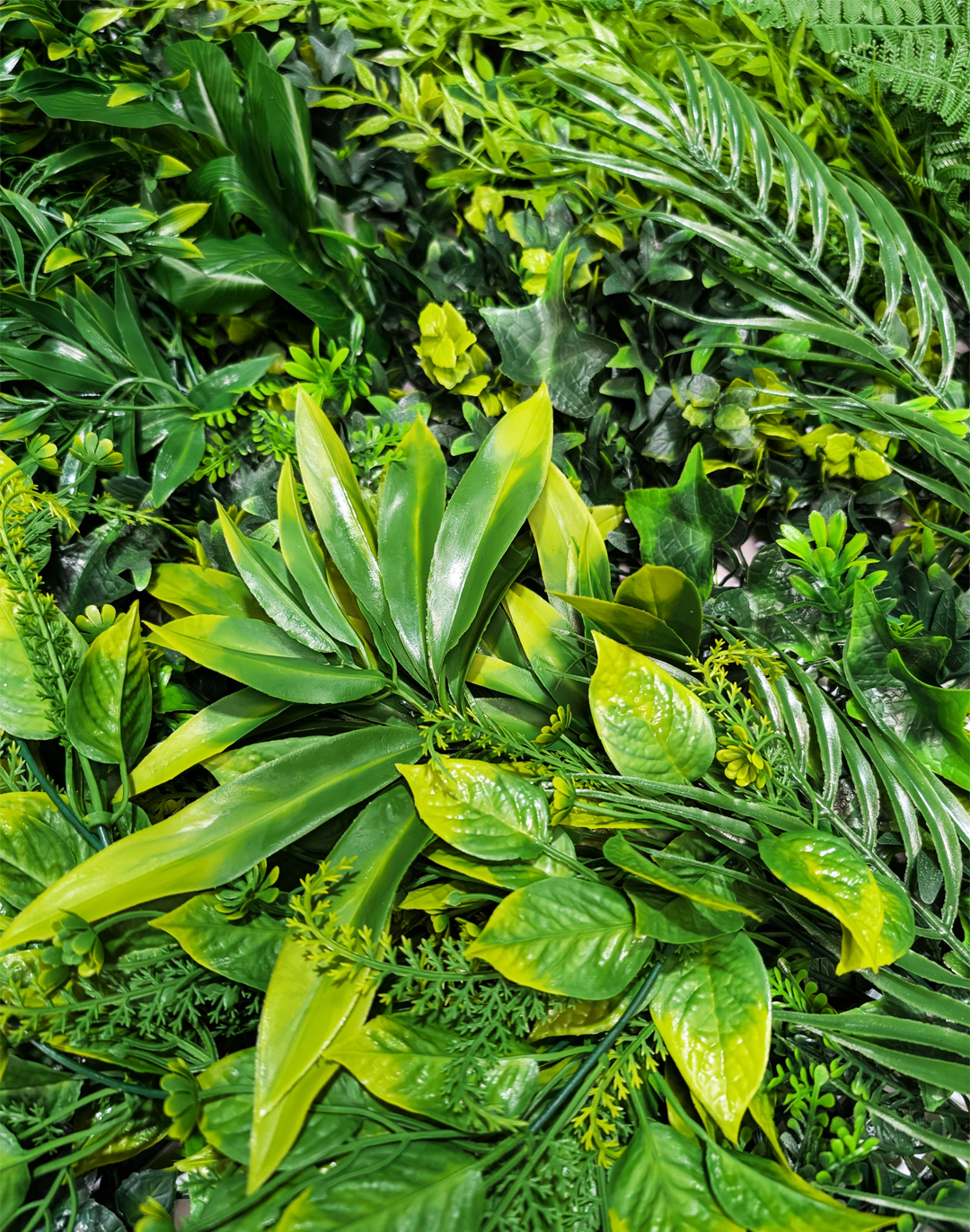 Pflanzenwand Hanging Jungle 100x100 cm Pflanzenwand Hanging Jungle 100x100 cm