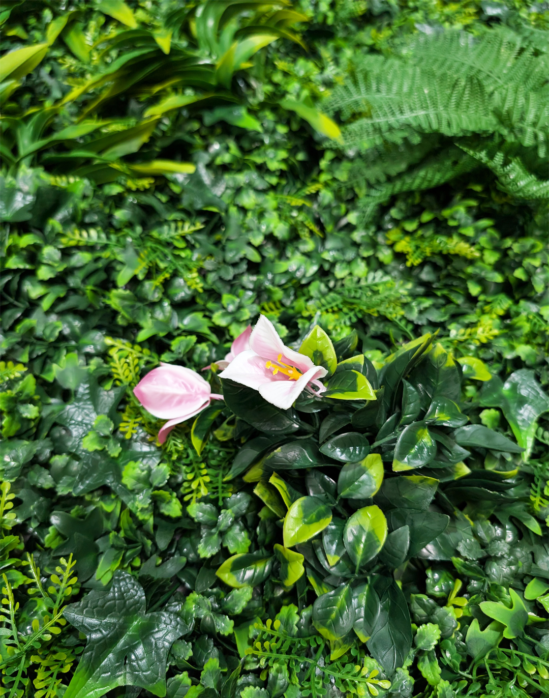 Pflanzenwand Wild Paradise 100x100 cm Pflanzenwand Wild Paradise 100x100 cm