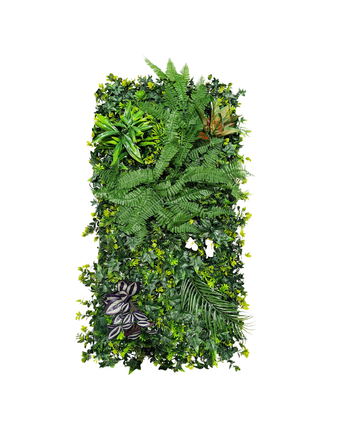 Pflanzenwand Urban Bloom 50x100 cm Pflanzenwand Urban Bloom 50x100 cm