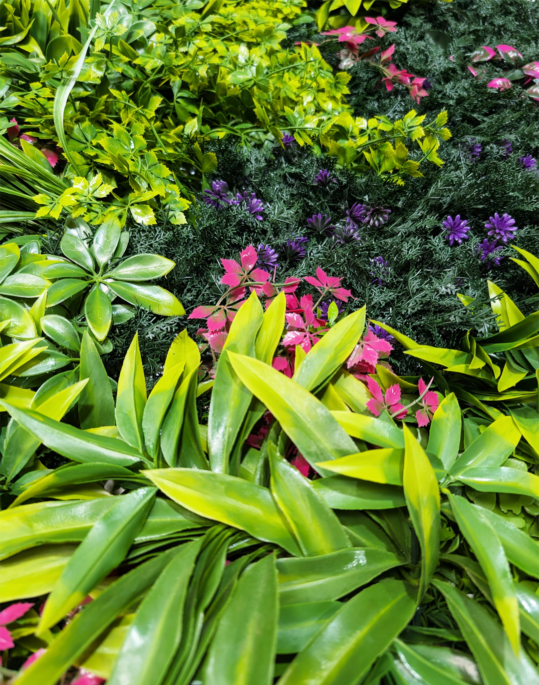 Pflanzenwand Lavenda Jungle 100x100 cm Pflanzenwand Lavenda Jungle 100x100 cm