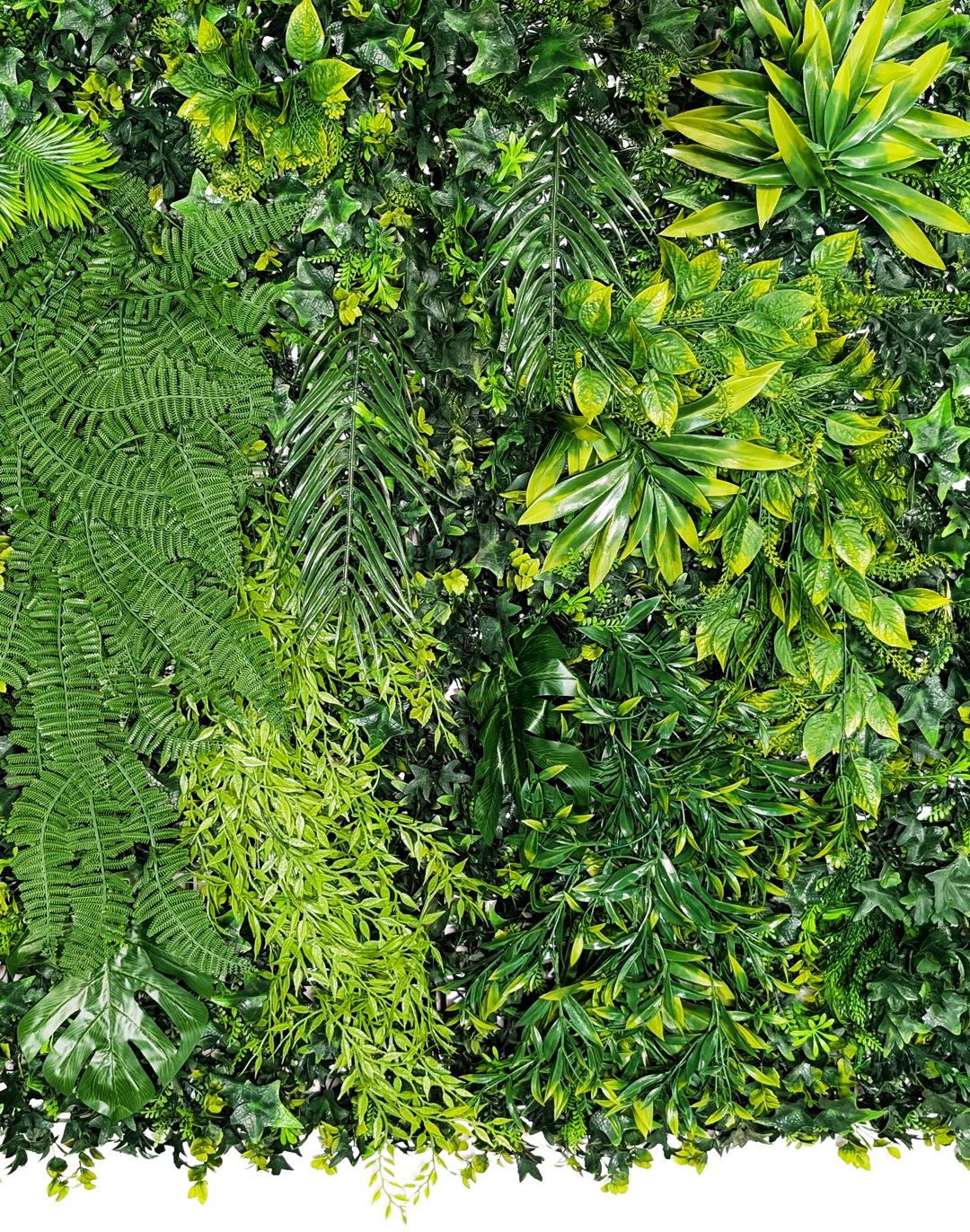 Pflanzenwand Hanging Jungle 100x100 cm Pflanzenwand Hanging Jungle 100x100 cm