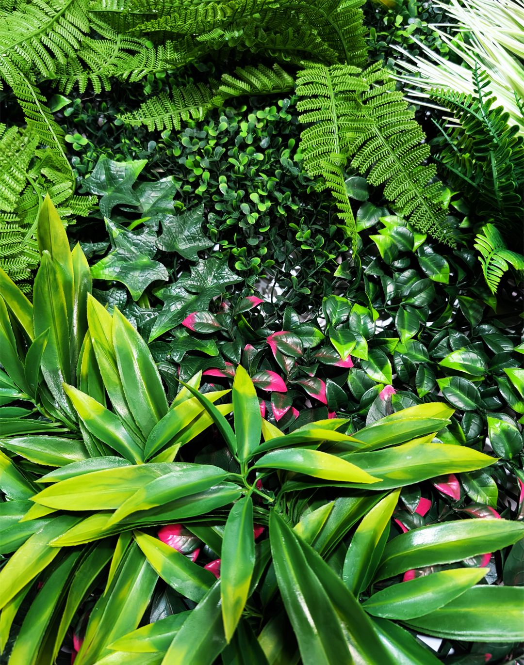 Pflanzenwand Tropical Shadows 100x100 cm Pflanzenwand Tropical Shadows 100x100 cm