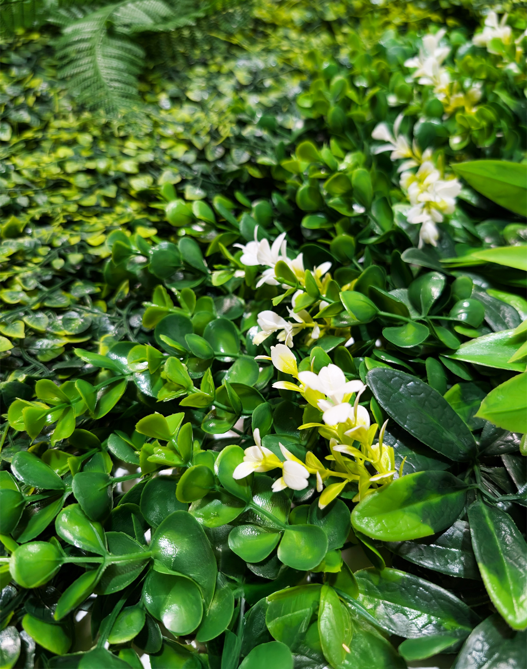 Pflanzenwand Emerald Breeze 100x100 cm Pflanzenwand Emerald Breeze 100x100 cm