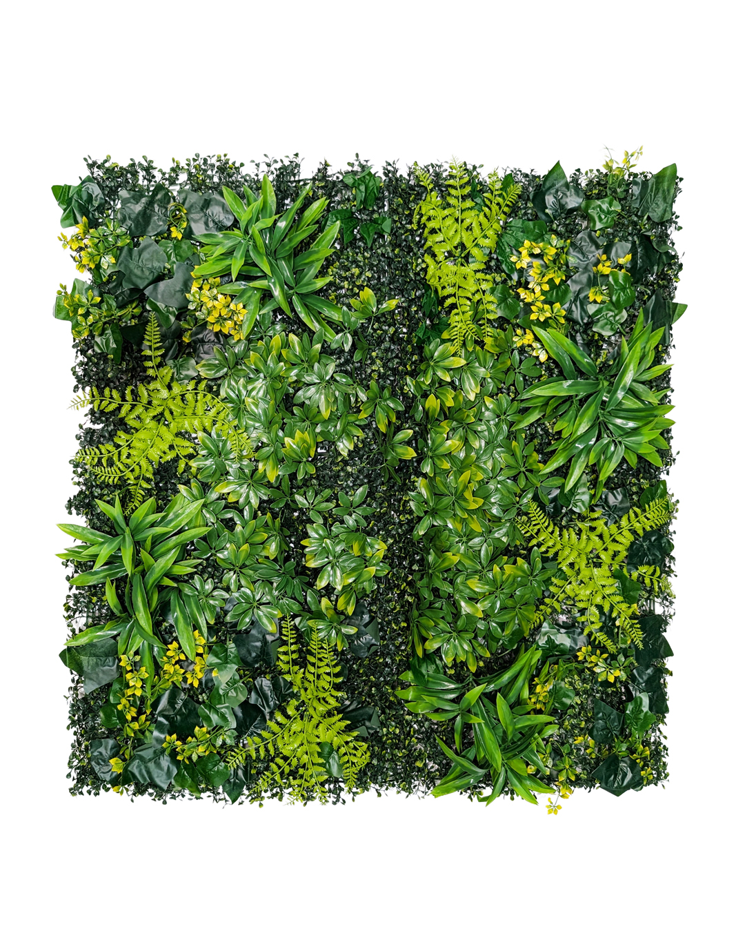 Pflanzenwand Green Cascade 100x100 cm Pflanzenwand Green Cascade 100x100 cm