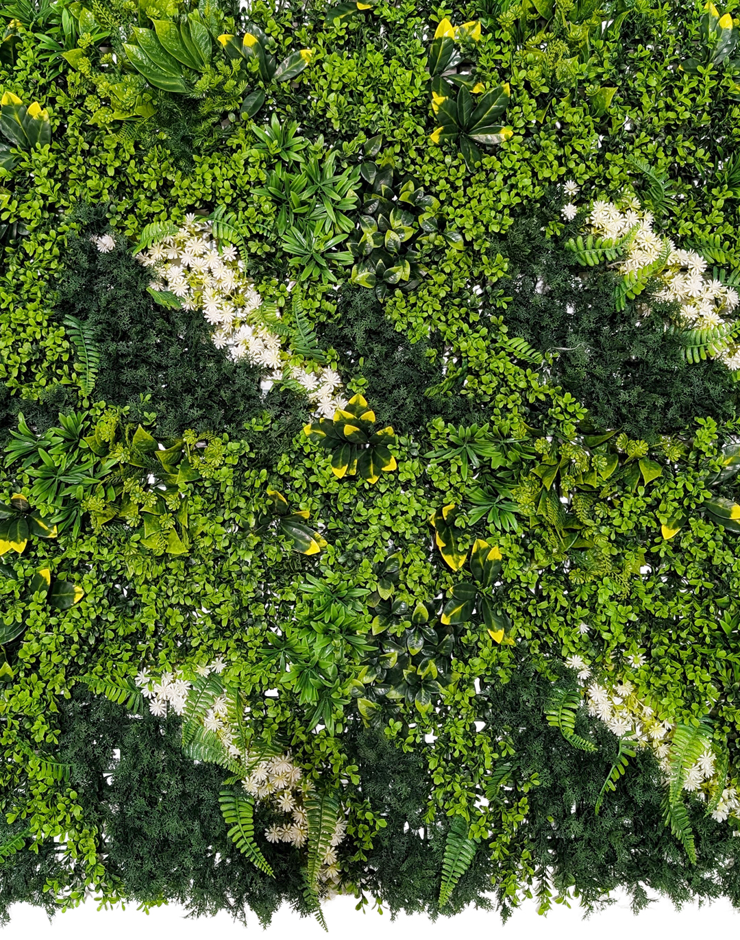 Pflanzenwand Leaf & Loom 100x100 cm Pflanzenwand Leaf & Loom 100x100 cm