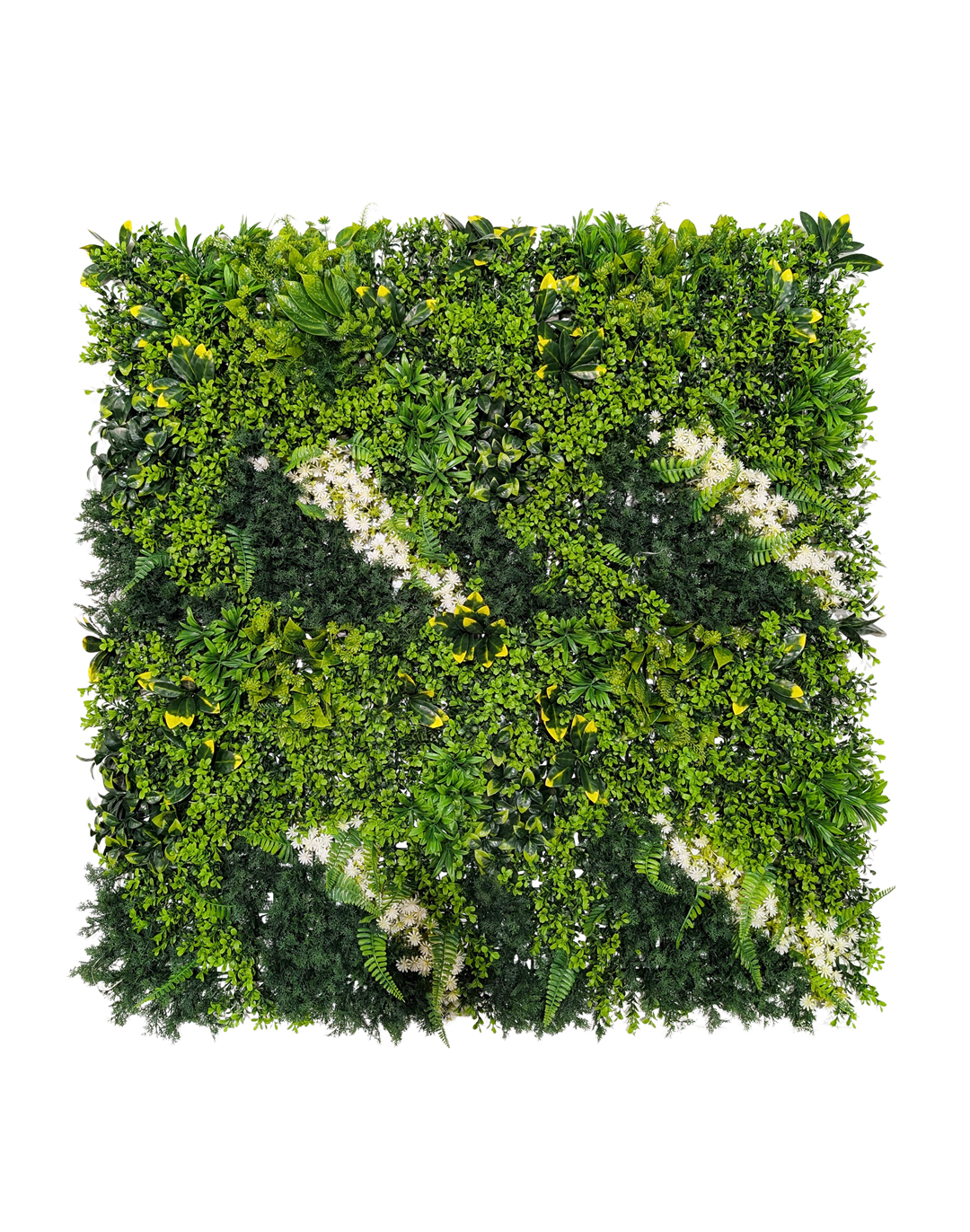 Pflanzenwand Leaf & Loom 100x100 cm Pflanzenwand Leaf & Loom 100x100 cm