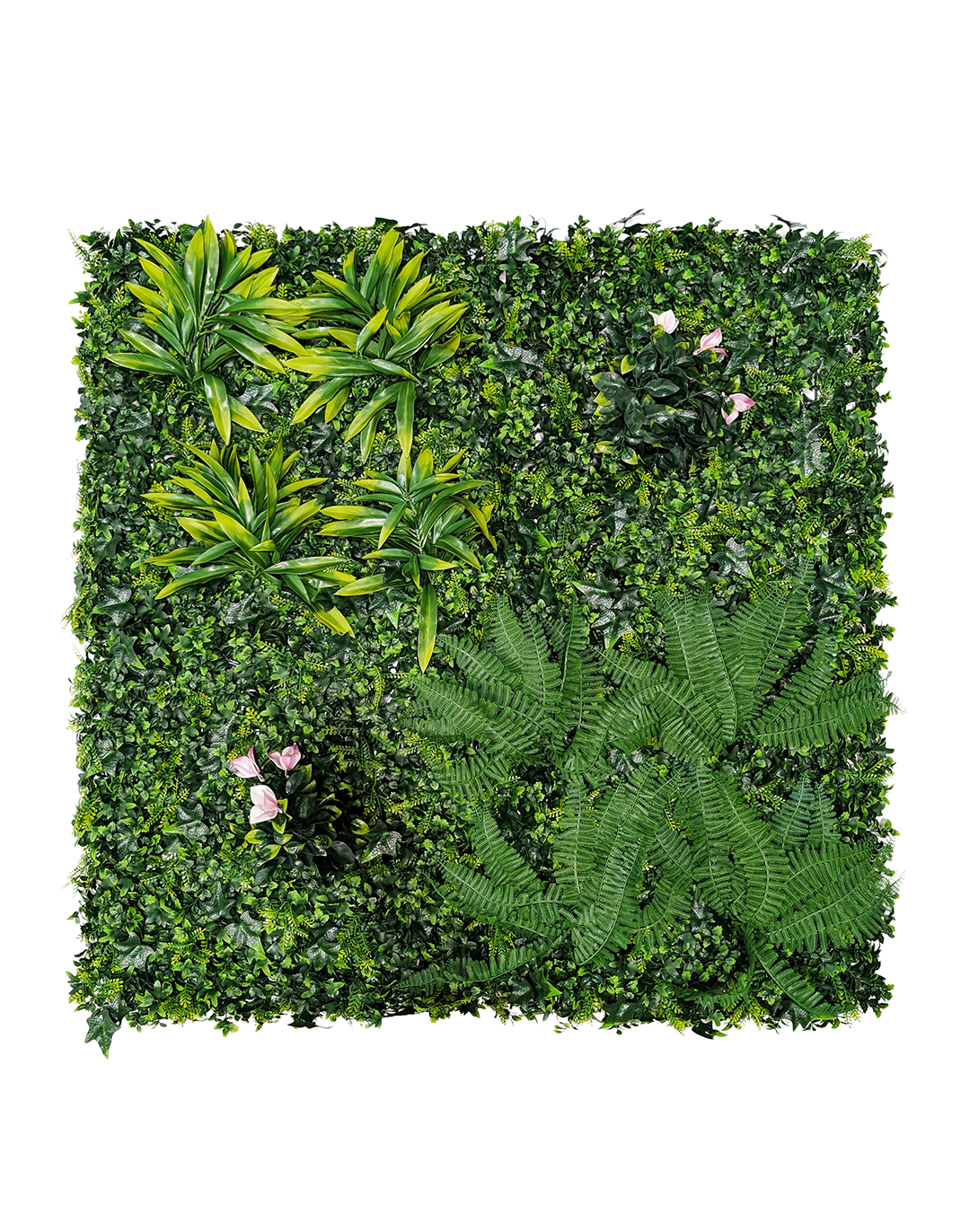 Pflanzenwand Wild Paradise 100x100 cm