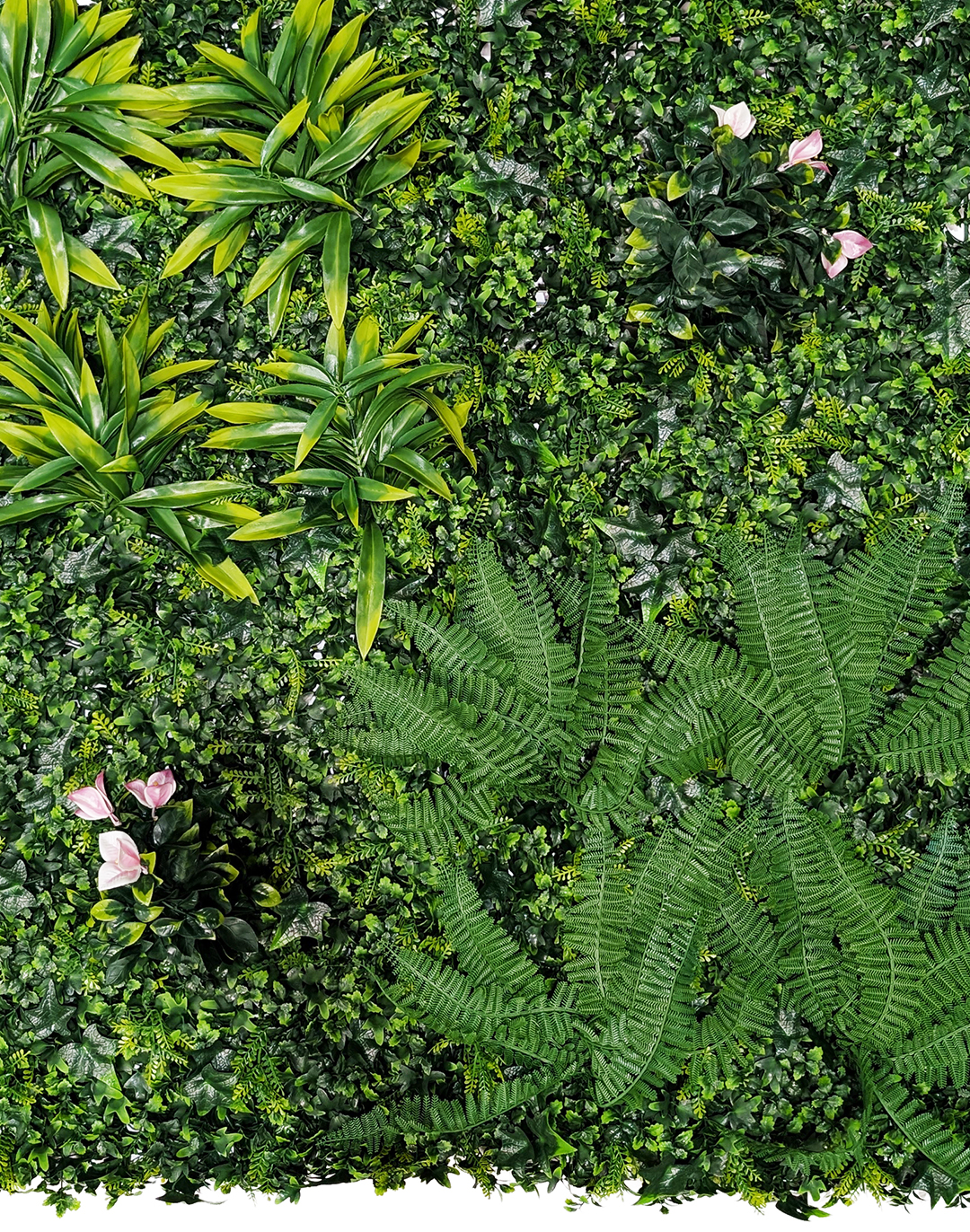 Pflanzenwand Wild Paradise 100x100 cm Pflanzenwand Wild Paradise 100x100 cm