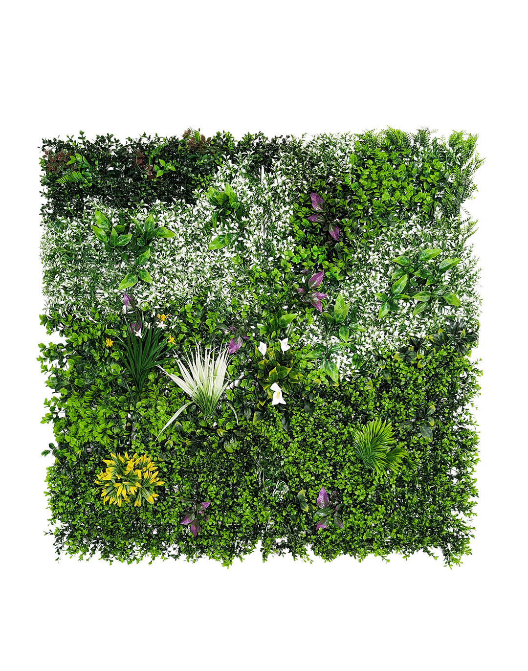 Pflanzenwand Botanic Fusion 100x100 cm Pflanzenwand Botanic Fusion 100x100 cm