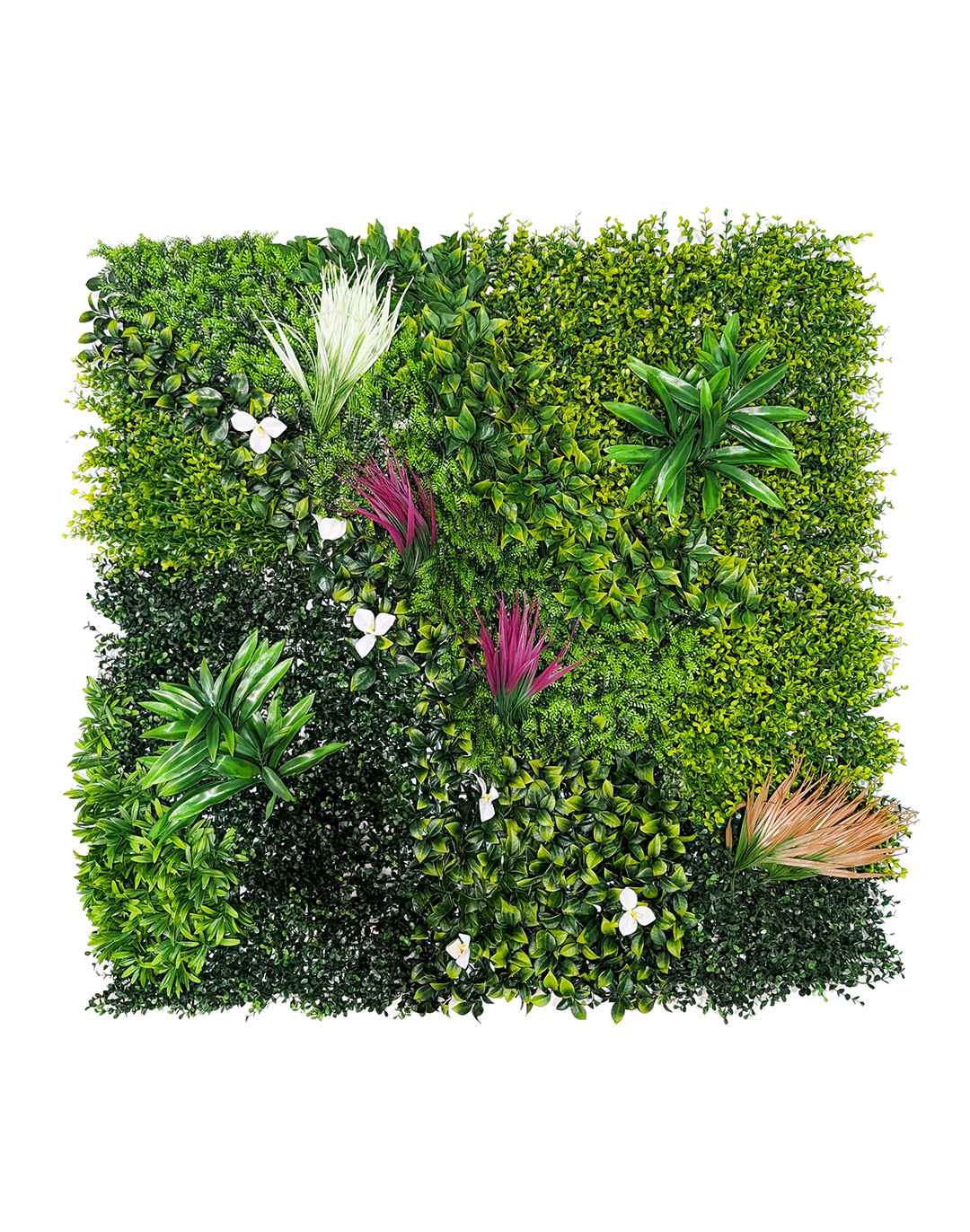 Pflanzenwand Tropical Glow 100x100 cm