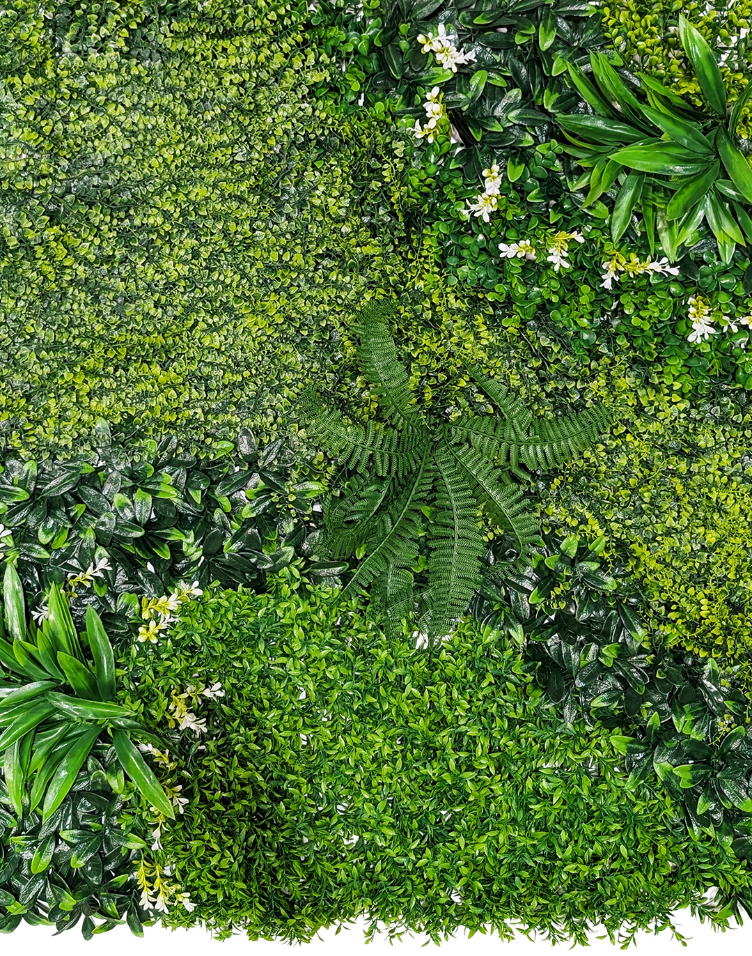 Pflanzenwand Emerald Breeze 100x100 cm Pflanzenwand Emerald Breeze 100x100 cm