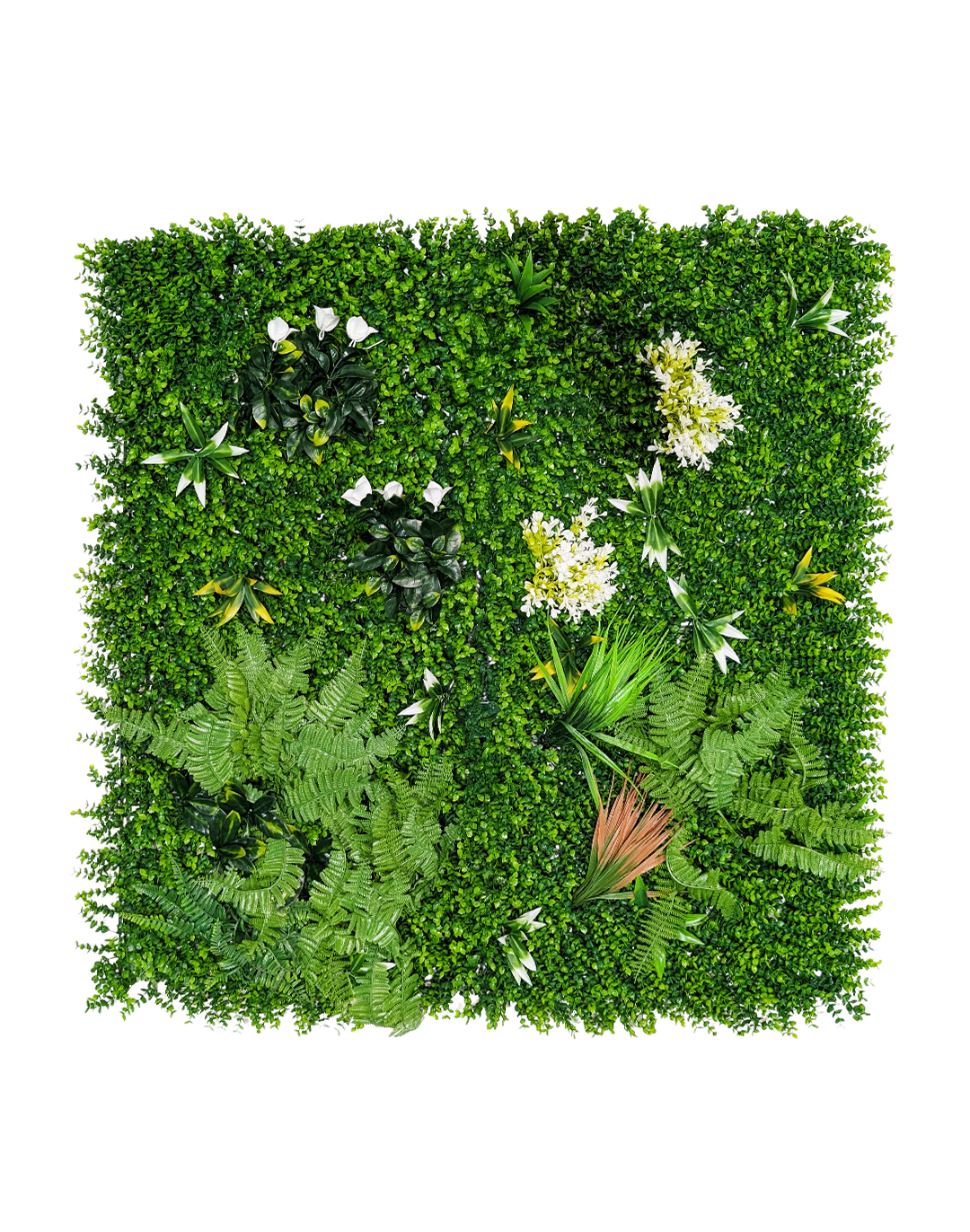 Pflanzenwand Ferns & Flowers 100x100 cm