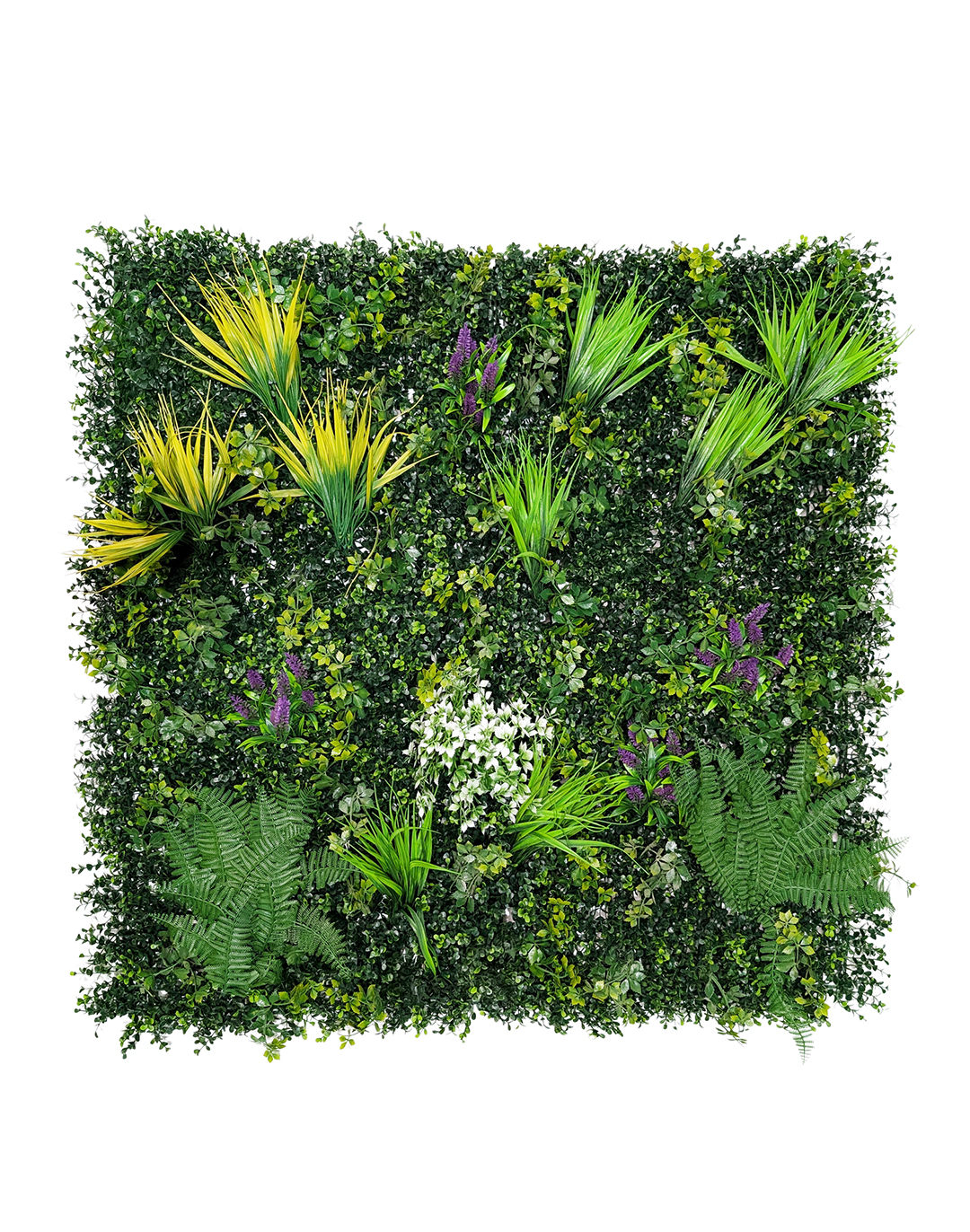 Pflanzenwand Lush Vibrance 100x100 cm Pflanzenwand Lush Vibrance 100x100 cm