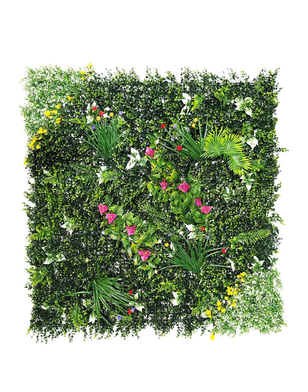 Pflanzenwand Jungle Blossom 100x100 cm