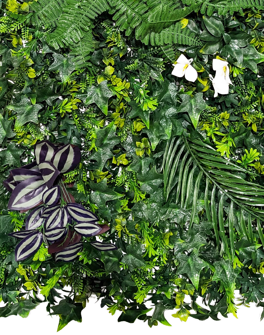 Pflanzenwand Urban Bloom 50x100 cm