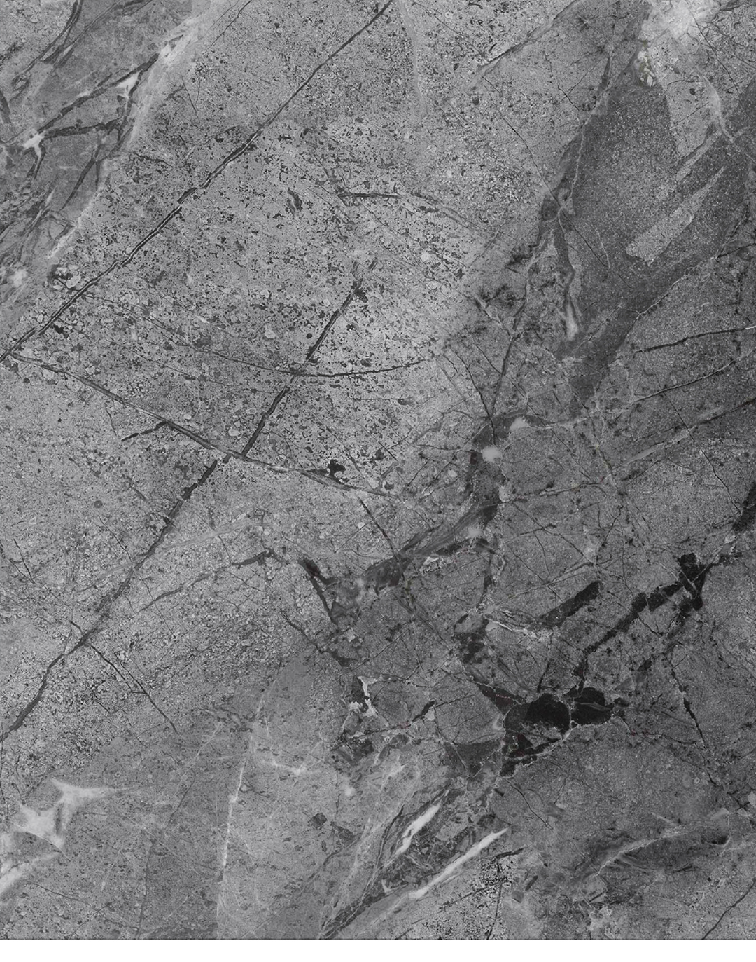 PVC-Paneel Marmor Oslo Grau 288x122 cm